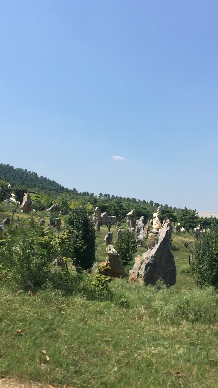 驻马店泌阳盘古山,据说是福建人投资开发新的旅游景点,山顶的寺庙97