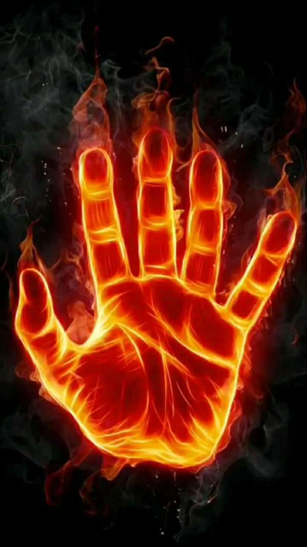火焰掌壁纸