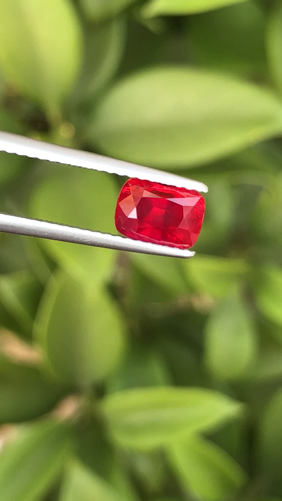 57克拉无烧鸽血红红宝石,色泽均匀,高饱和度颜色,毫不发黑的红宝石