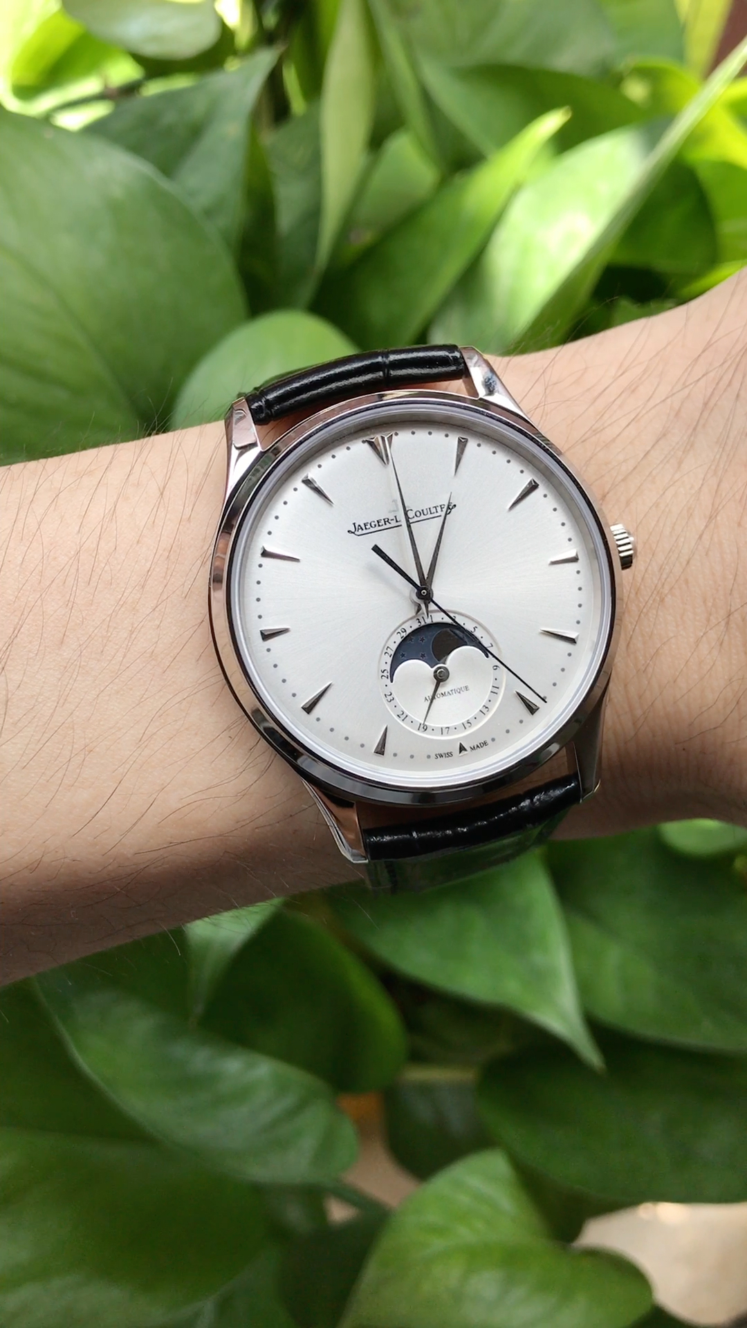 积家月相大师 超薄正装男表