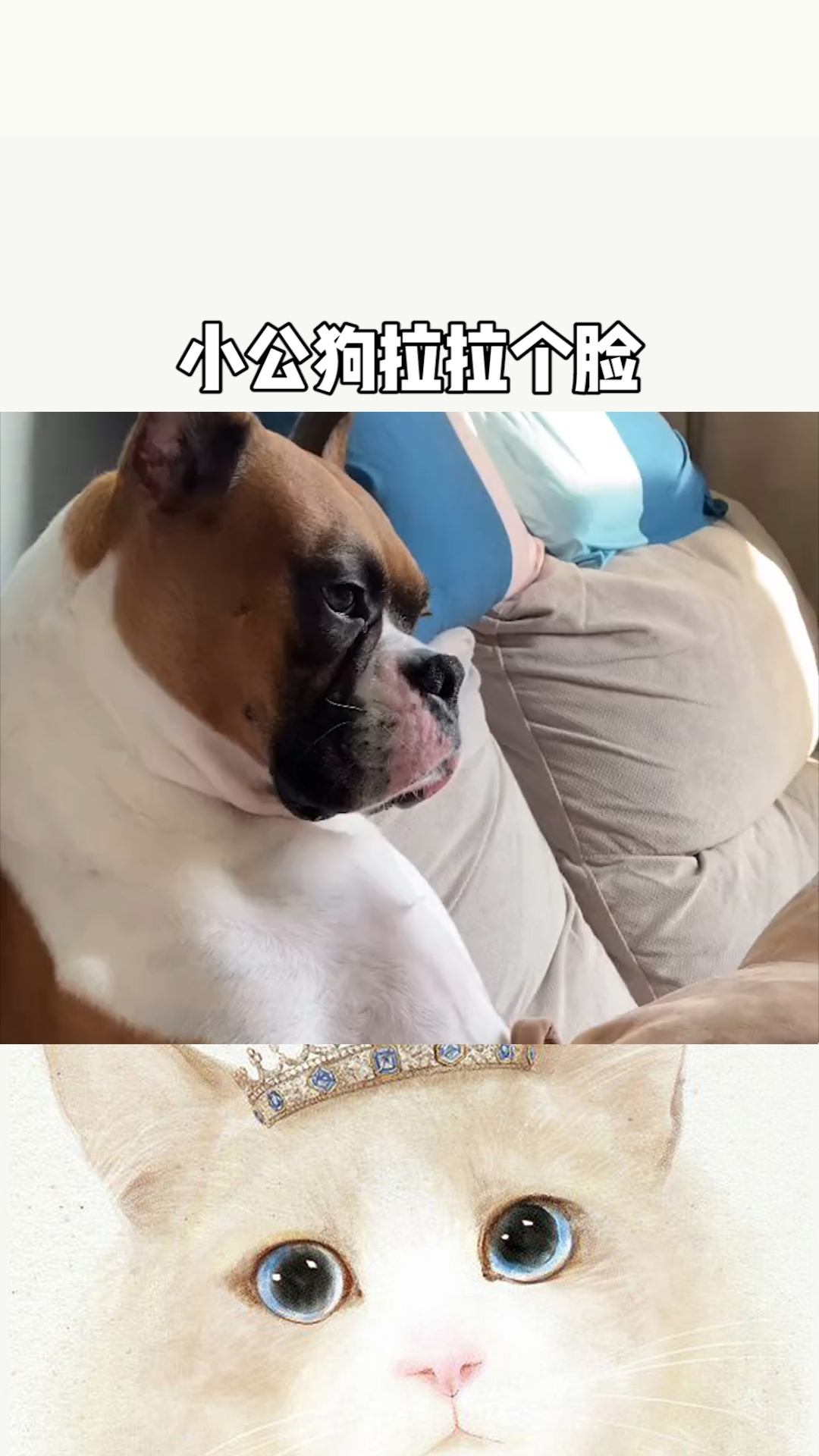 遇见小公狗拉拉个脸,遇见小姐姐嘴能咧到耳朵根,长这么大,一个朋友没