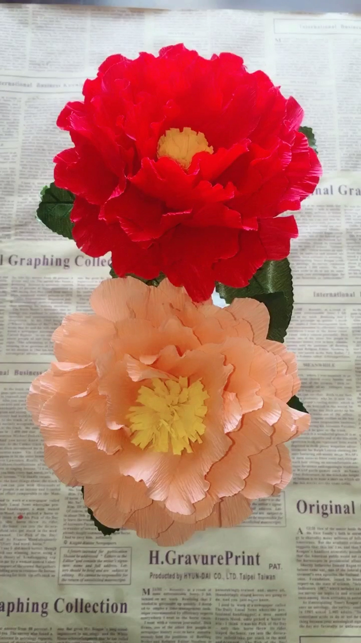 亲们上午好96皱纹纸做的牡丹花