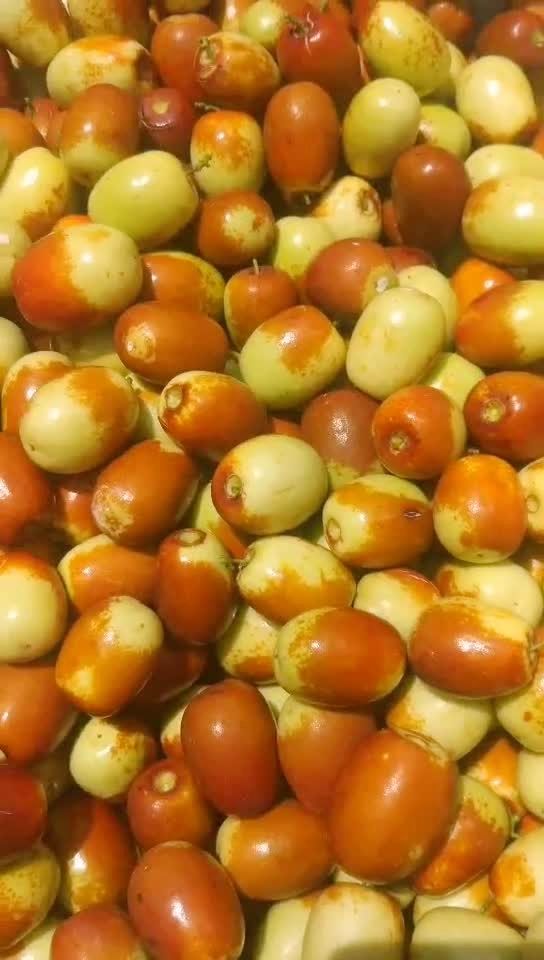 云南冰糖枣现摘现发