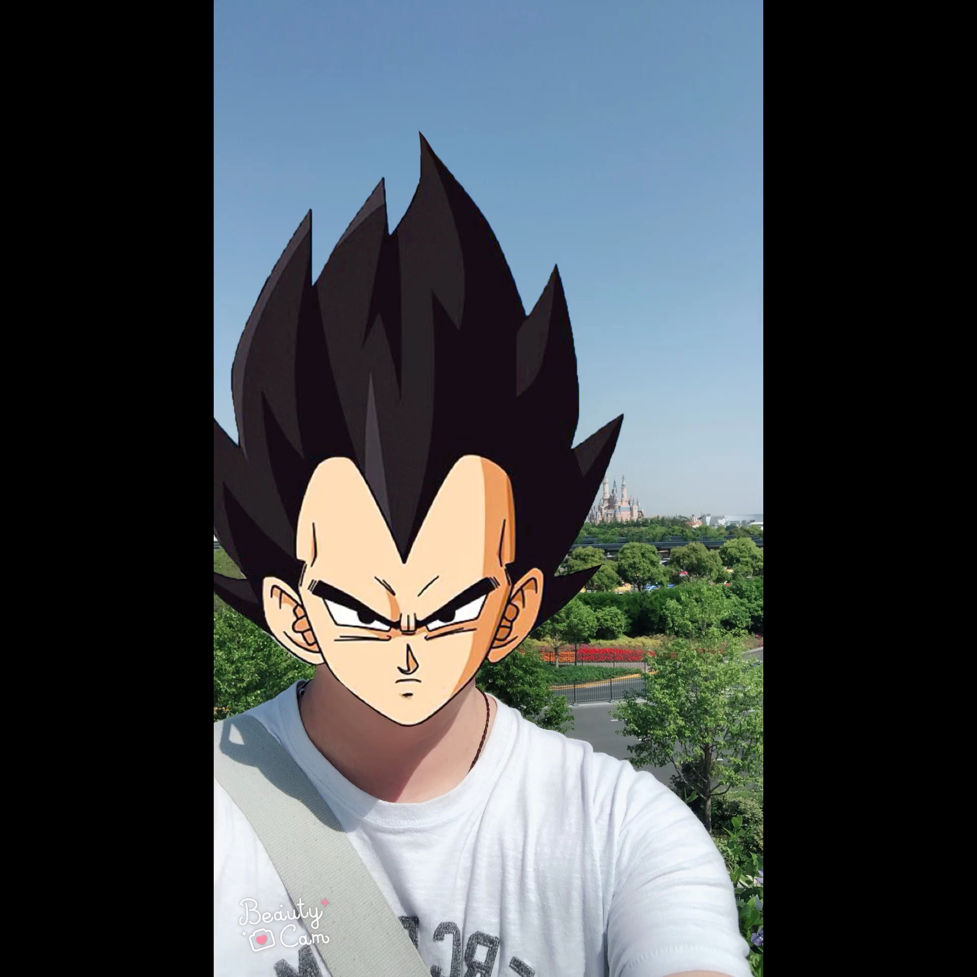 龙珠超炫贴纸,顿时感觉自己变成了龙珠人物!