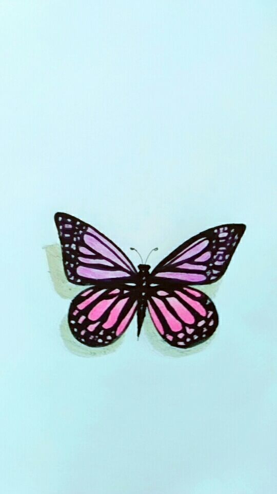 彩色铅笔画一只蝴蝶,大家觉得漂亮吗?