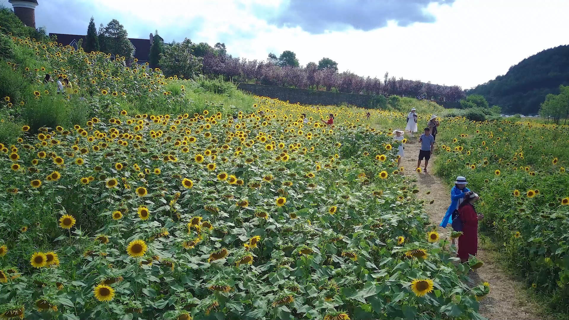 扎佐苏格兰牧场,距离#贵阳市中华职业学校 11公里,游玩的好去处