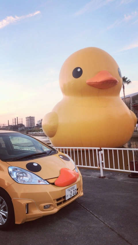 你好大黄鸭～999999