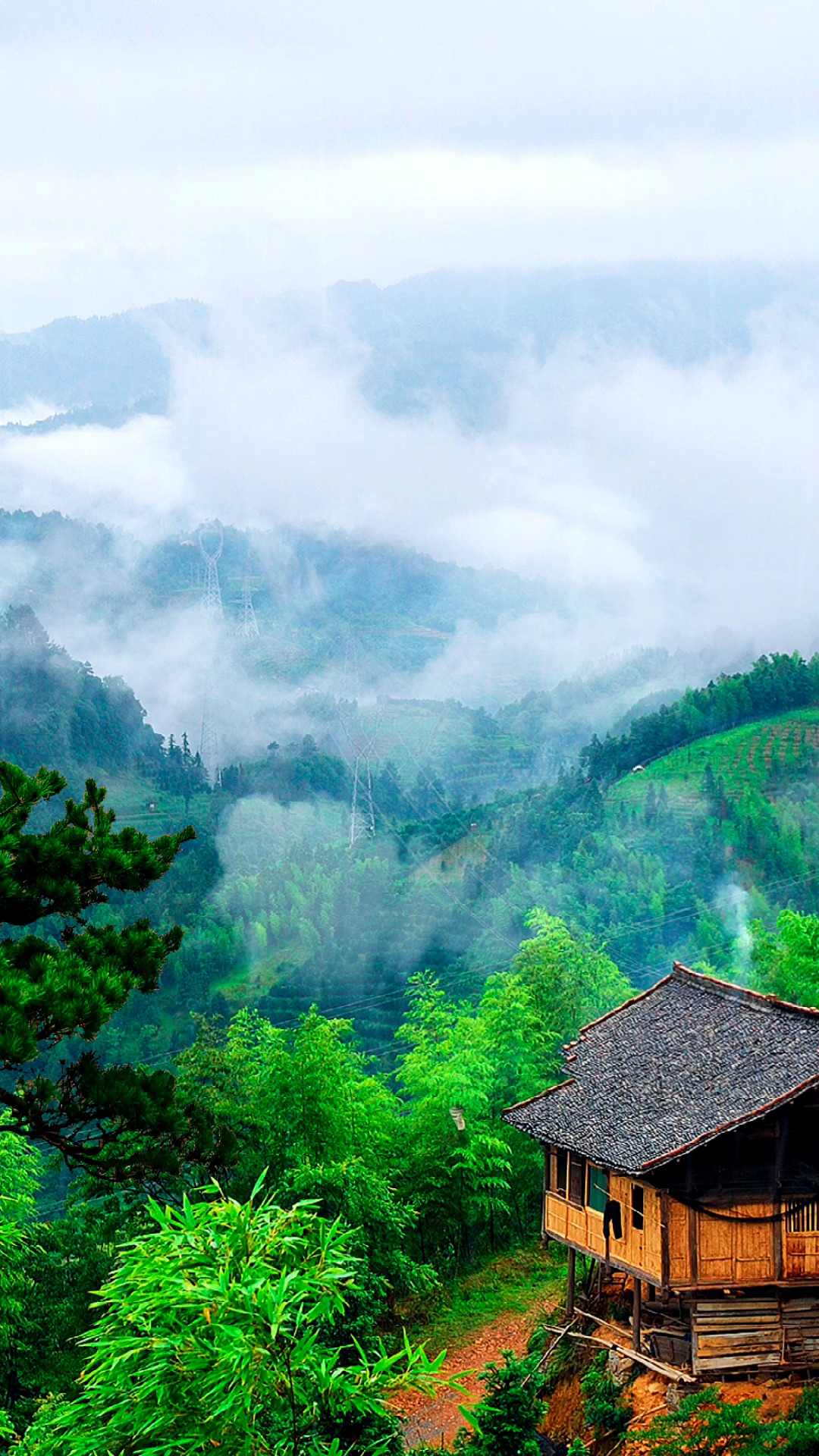 山后本是清静地,奈何俗人一身愁! #风景 #听雨 #旅行