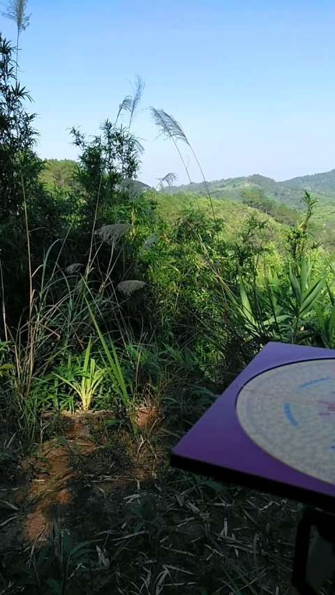 水聚天心,主财富,水深财厚,水浅财薄.