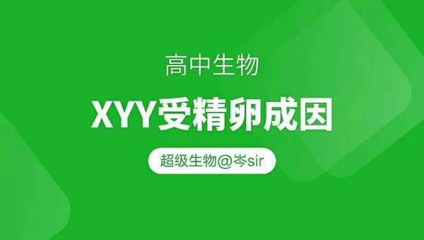 高中生物 xxy受精卵的成因(高考生物)