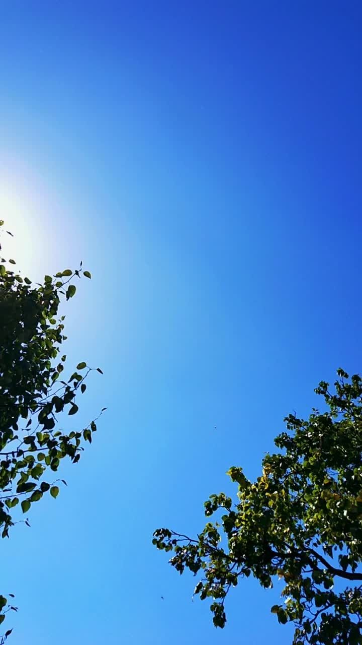 天是瓦蓝瓦蓝的