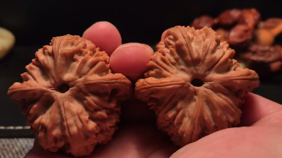 文玩核桃～野生核桃独有的性感小气门9928