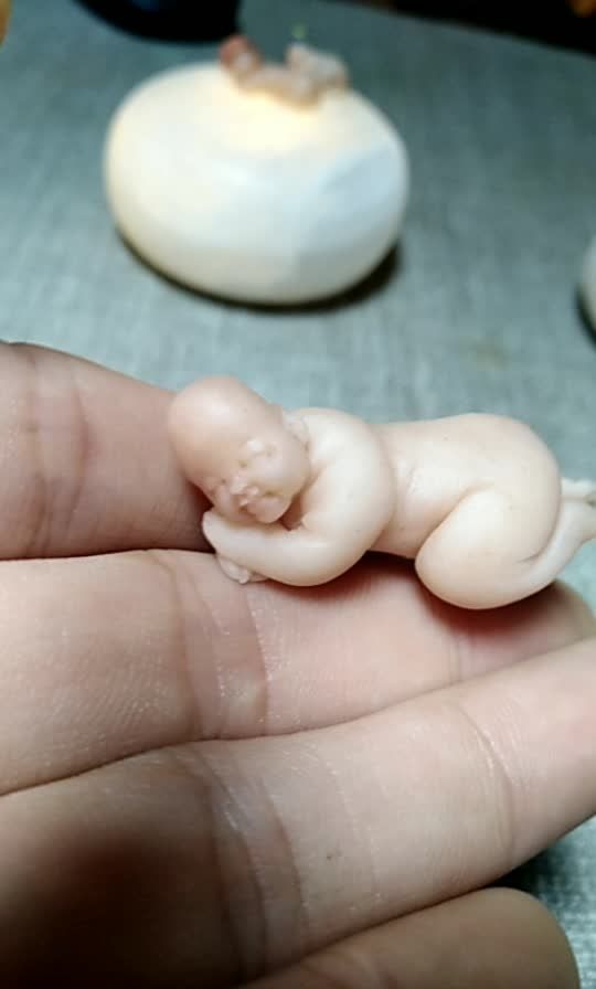 拇指婴儿,火不火你说的算