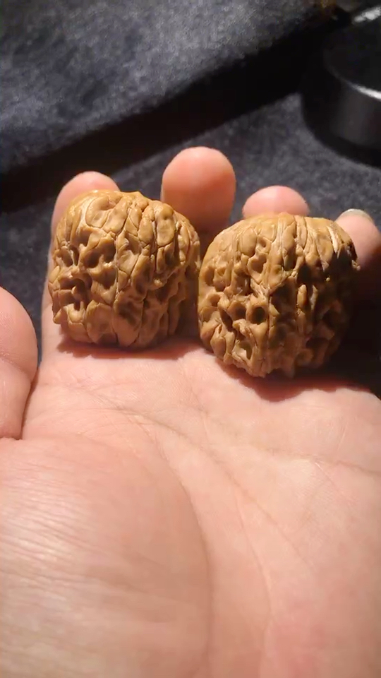 蓟县老孙家门墩,边40,肚40!牛津红皮质!配对顶级!