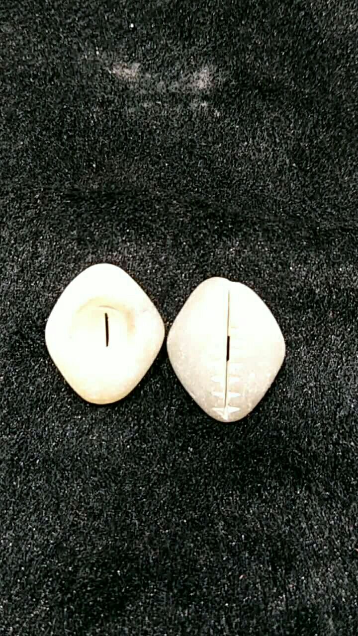 商代晚期 玉贝币