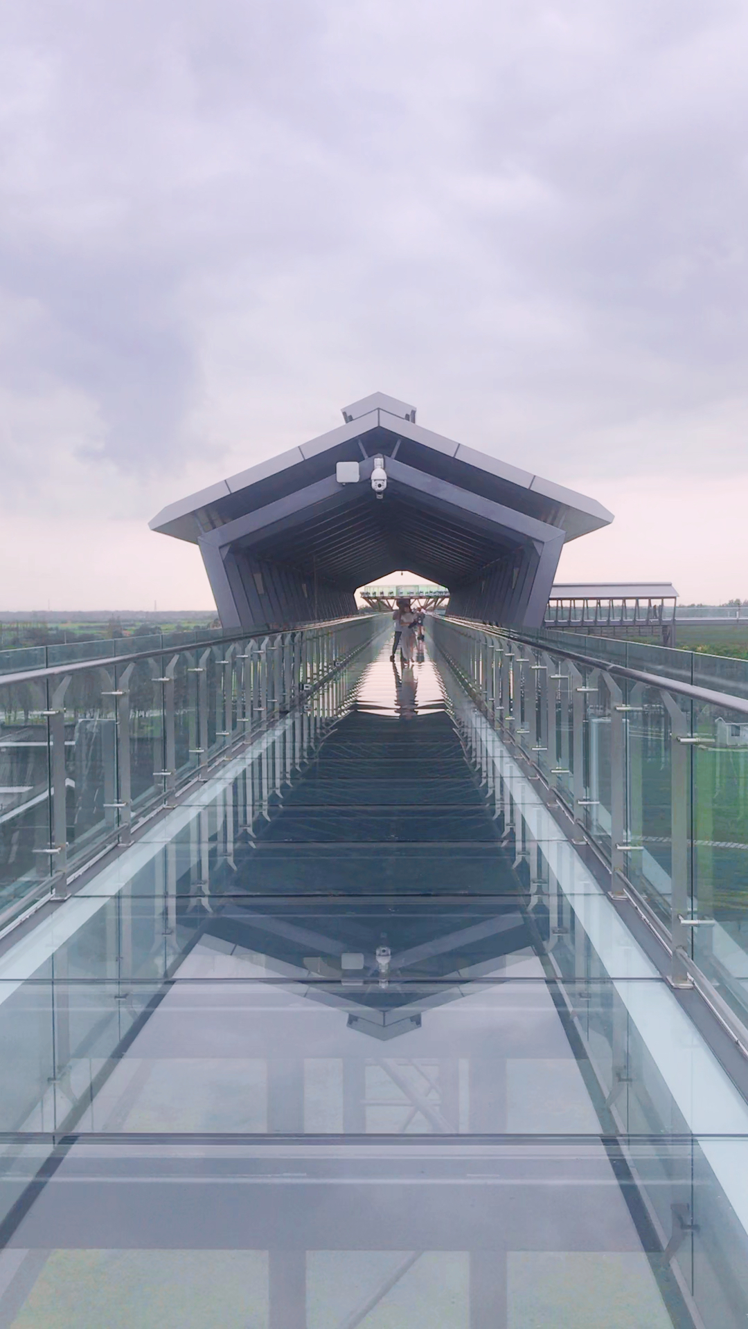 水韵龙湾城市森林公园78玻璃栈道!