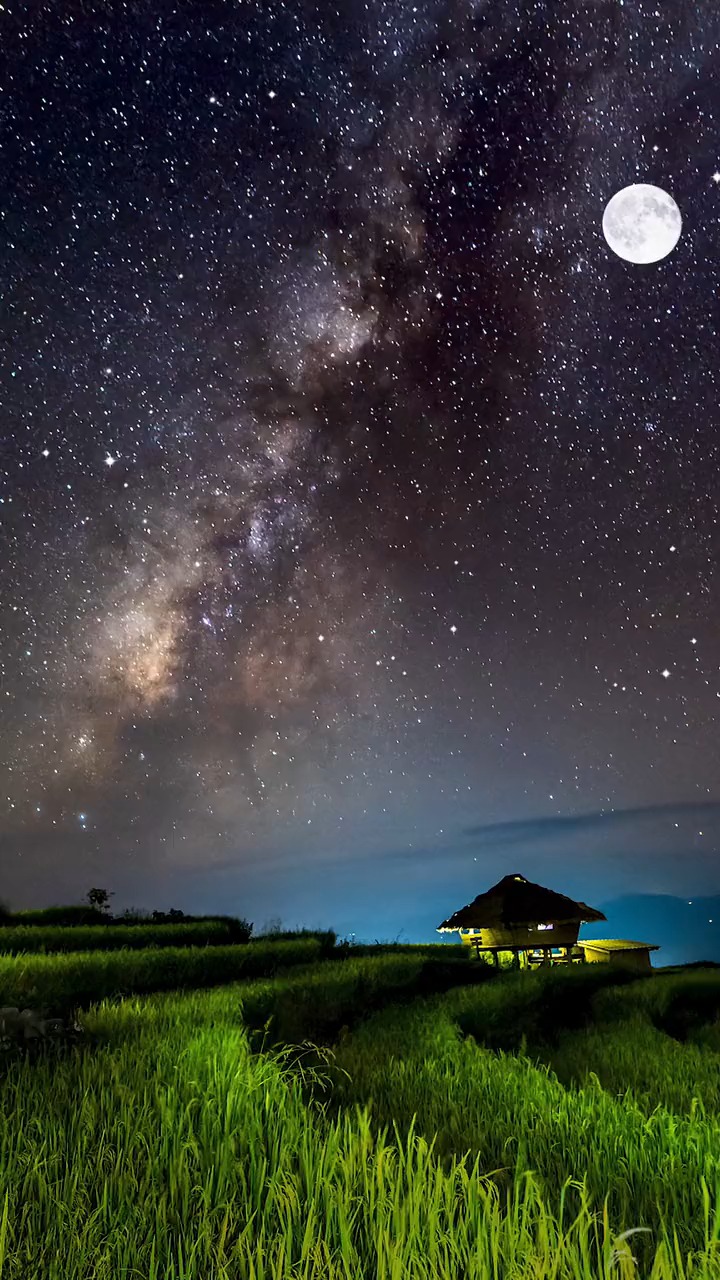 静坐在田间,望着满天星河,听着稻田的蛙声虫鸣,未来不知如何,但愿日子