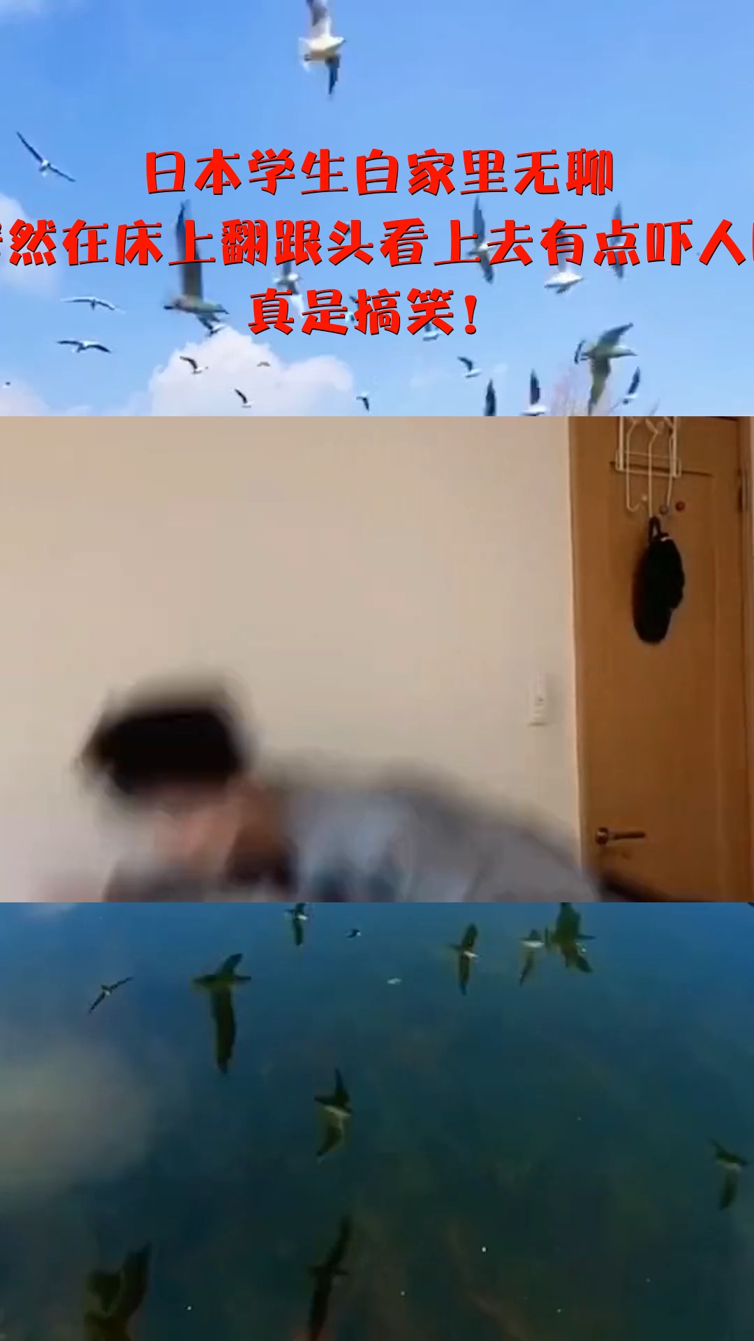 日本学生自家里无聊,居然在床上翻跟头看上去有点吓人啊,真是搞笑!