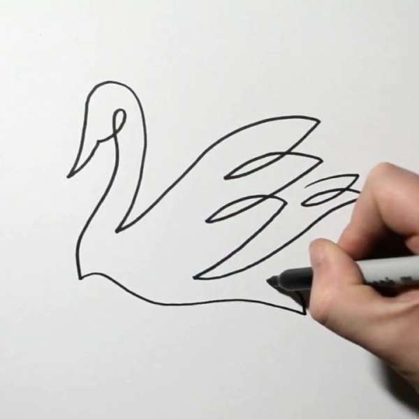一笔画天鹅