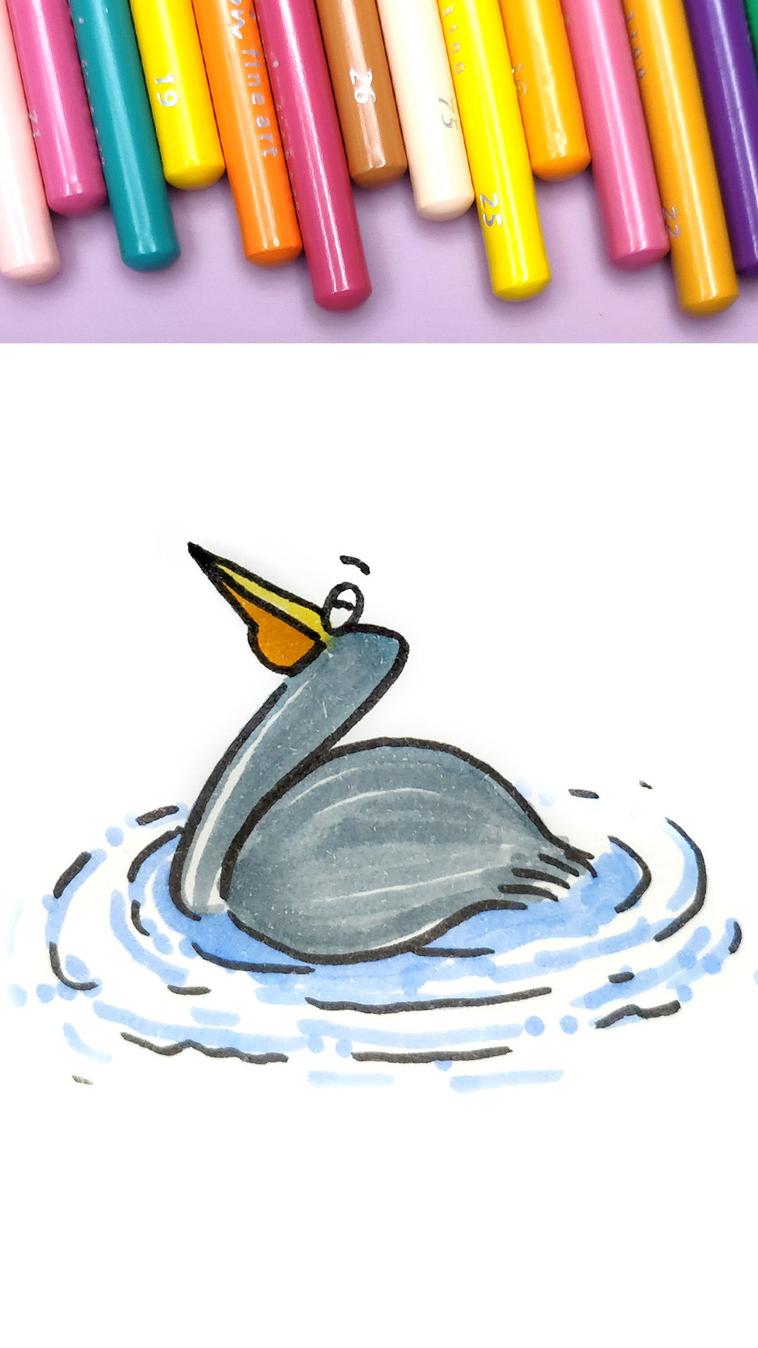 鹈鹕简笔画 彩色 涂色图片