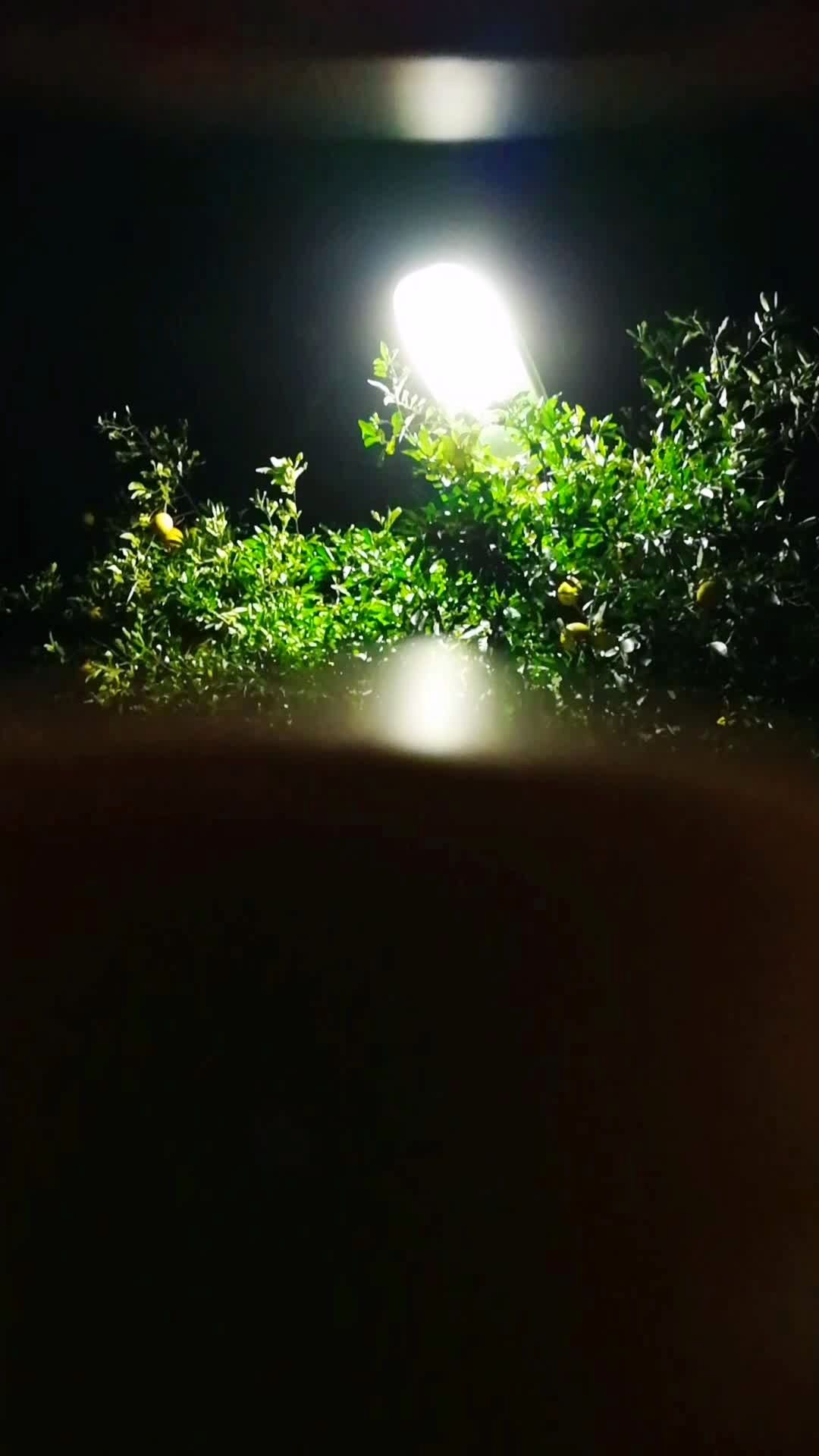 大半夜哪里都能嗨!