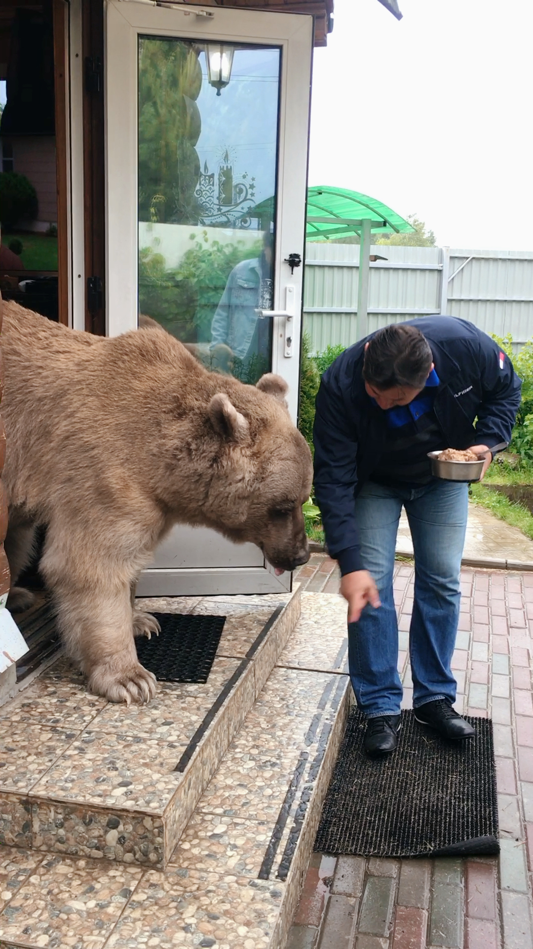 旅行囧记俄罗斯游:俄罗斯网红熊,相当于人类75岁了,行动缓慢了