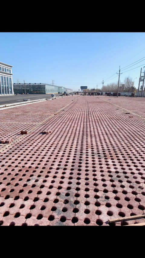 佟二堡 忠信晟态实业 停车场  九孔砖
