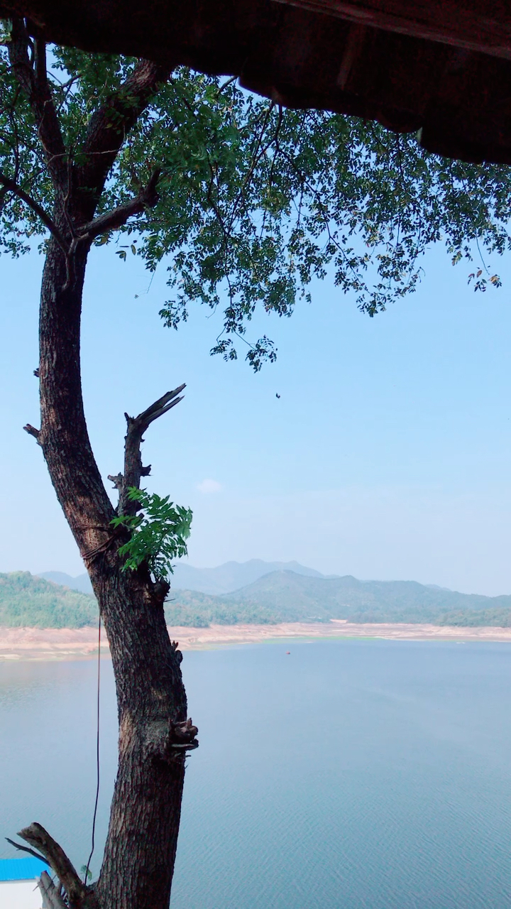 湘潭县上石坝水库钓鱼.