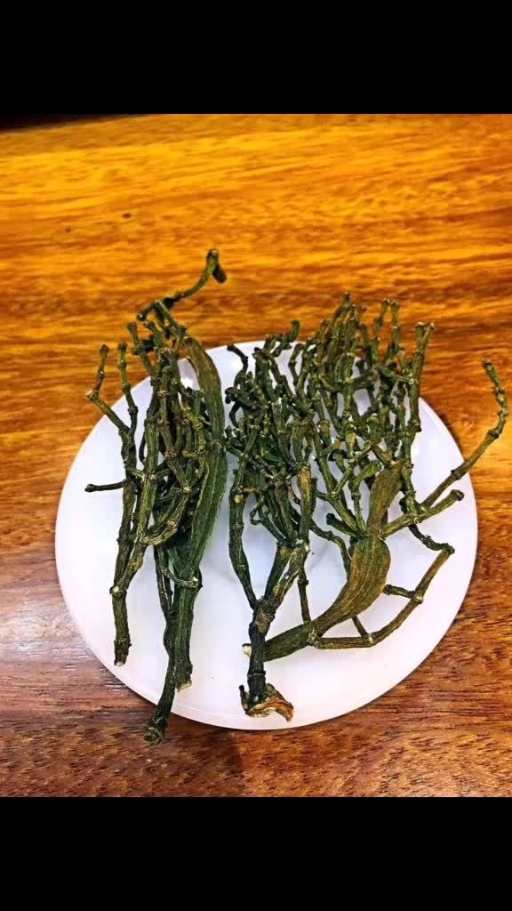 【野生螃蟹脚】只有在上百年的古茶树才能找得到.