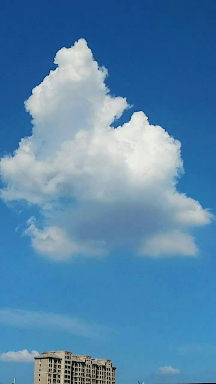 这几团云像什么?棉花飞机7615还是线?