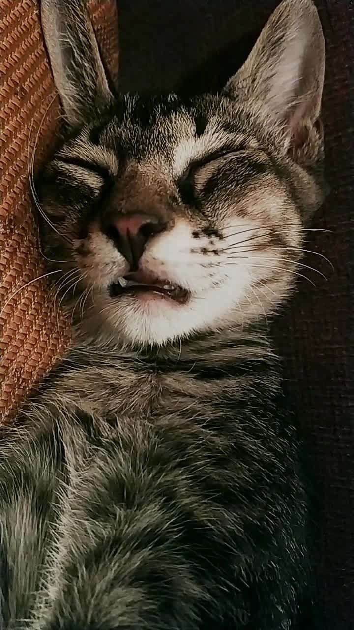 emmmmmmmmm   ,好吃的.好吃的.好吃的.