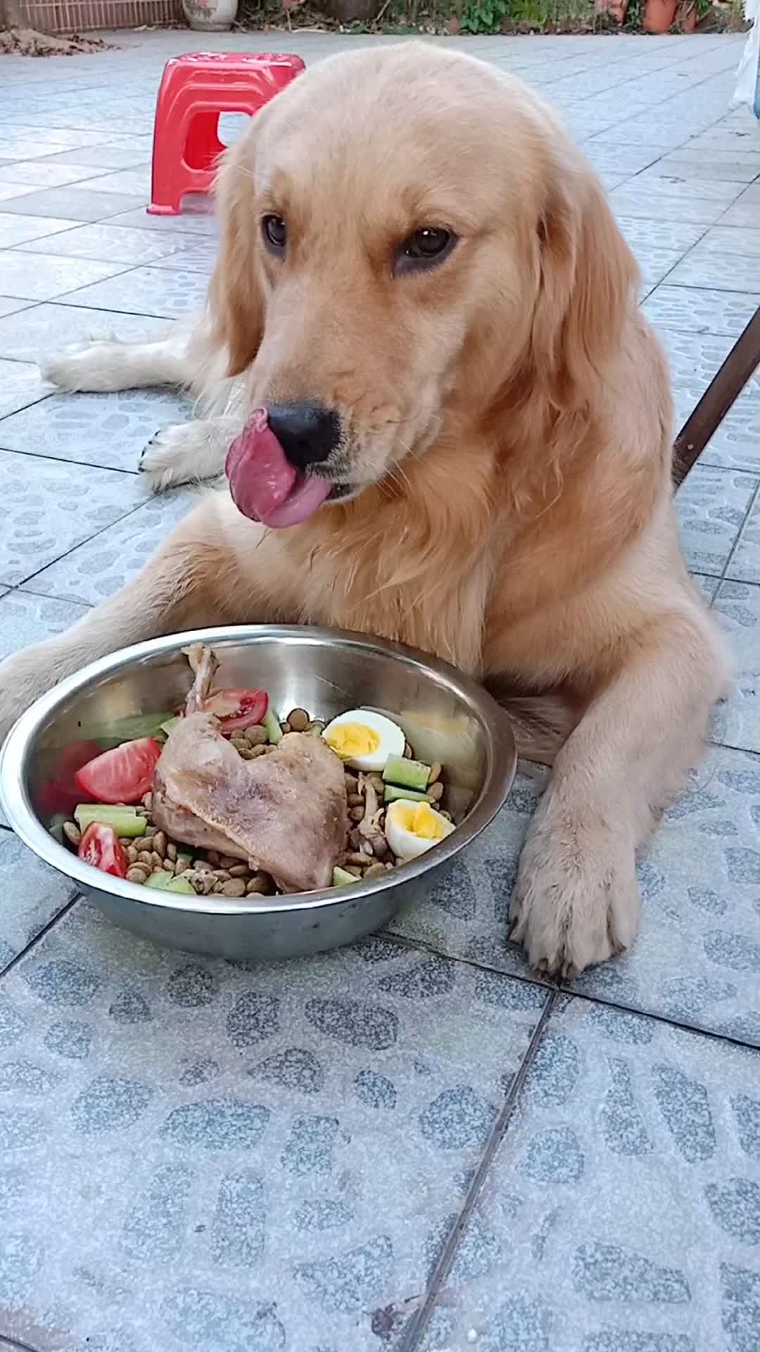 两宠宝准备吃饭啦!99