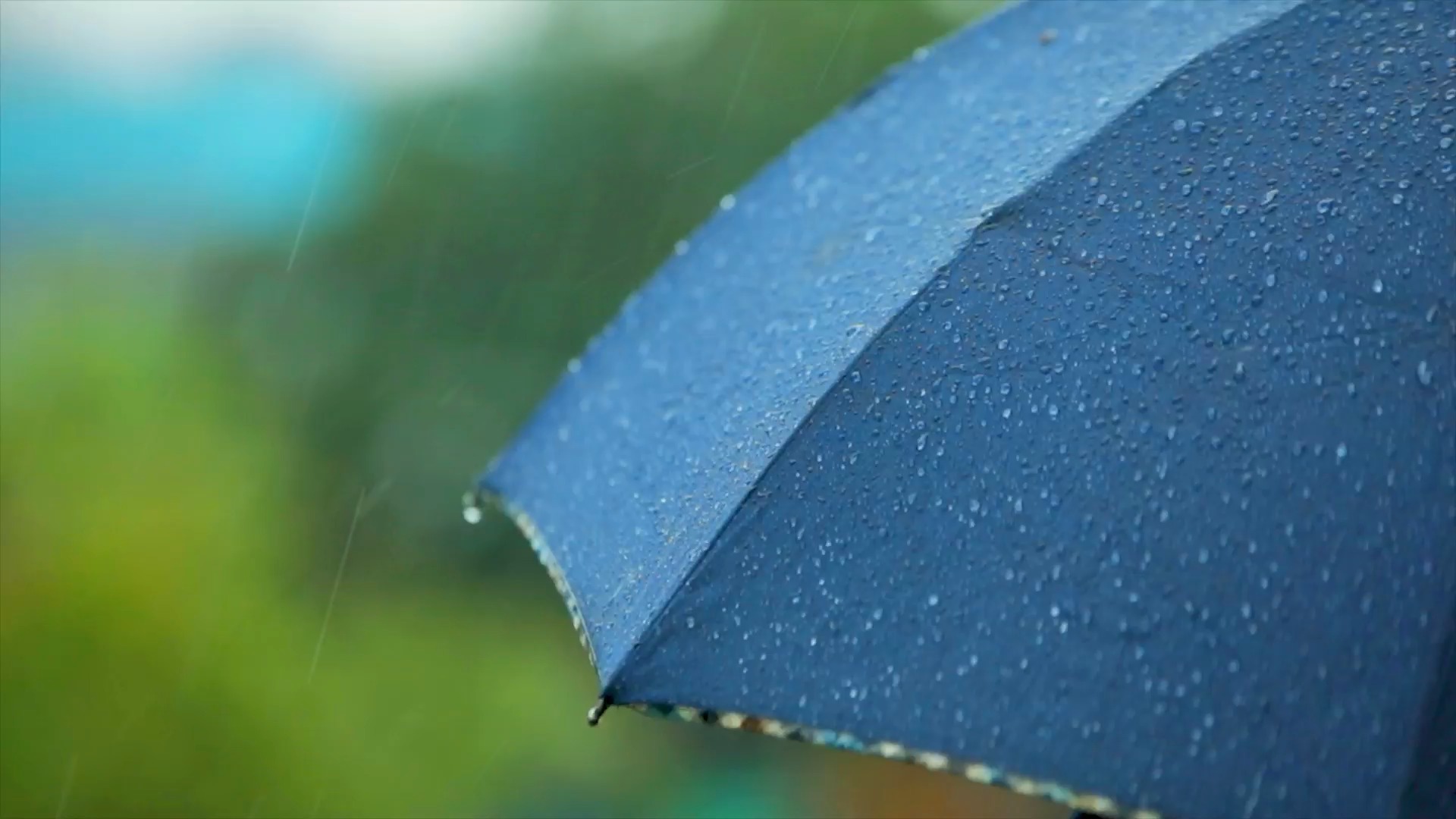 下雨天雨伞视频素材