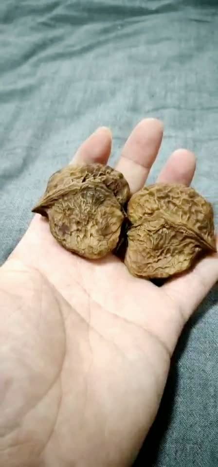 怪核,自有怪核的乐趣!