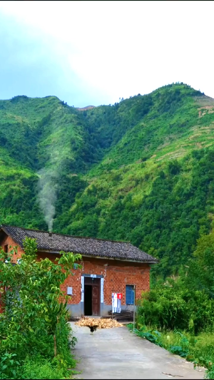 炊烟又起,定是放工或来客了.农村没啥菜,粗茶淡饭,你愿意来吃吗?