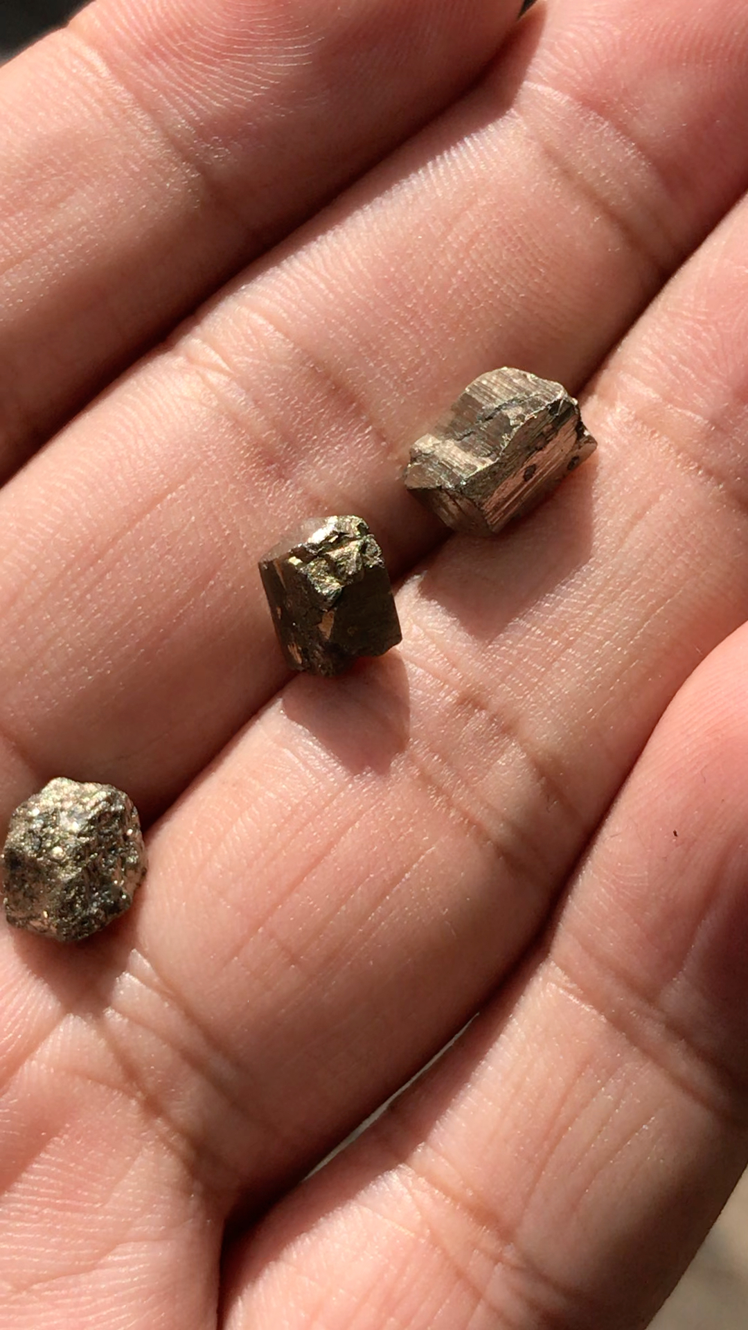 这个是黄铁矿的晶体,很漂亮的矿标哦,产地是缅甸