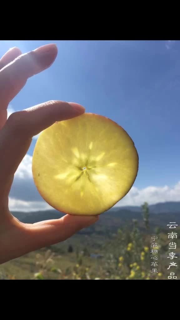 云南宁蒗《糖心苹果》