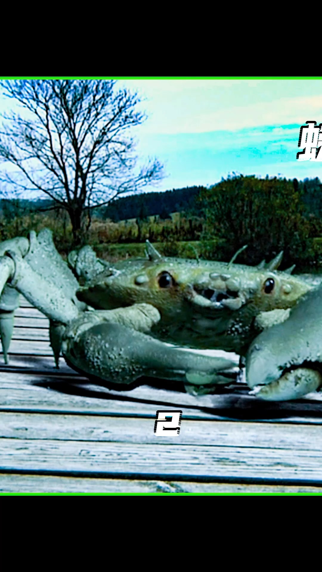 会吃人的巨无霸大螃蟹#我的观影报告 #科幻 ##一起看电影