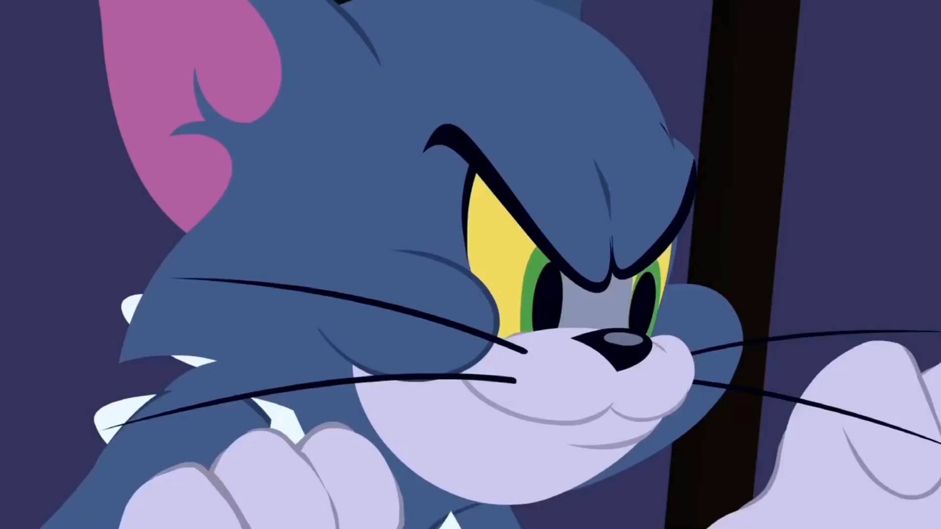 猫和老鼠:小鸟保镖杰瑞!汤姆想方设法的吃小鸟!