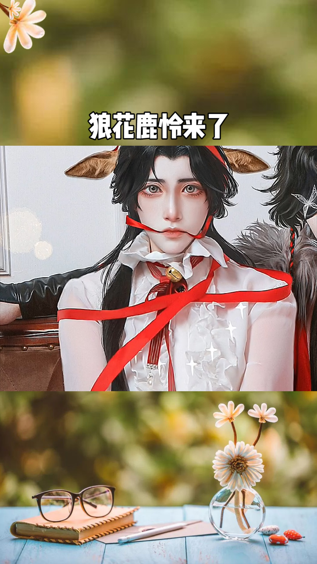 狼花鹿怜来了,是谁掉落的小鹿