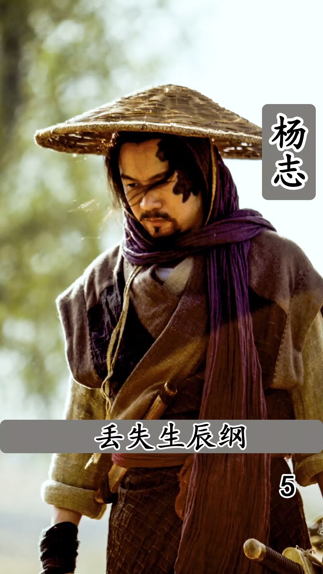 杨志丢失生辰纲#新水浒传 #影视解说 #微好剧