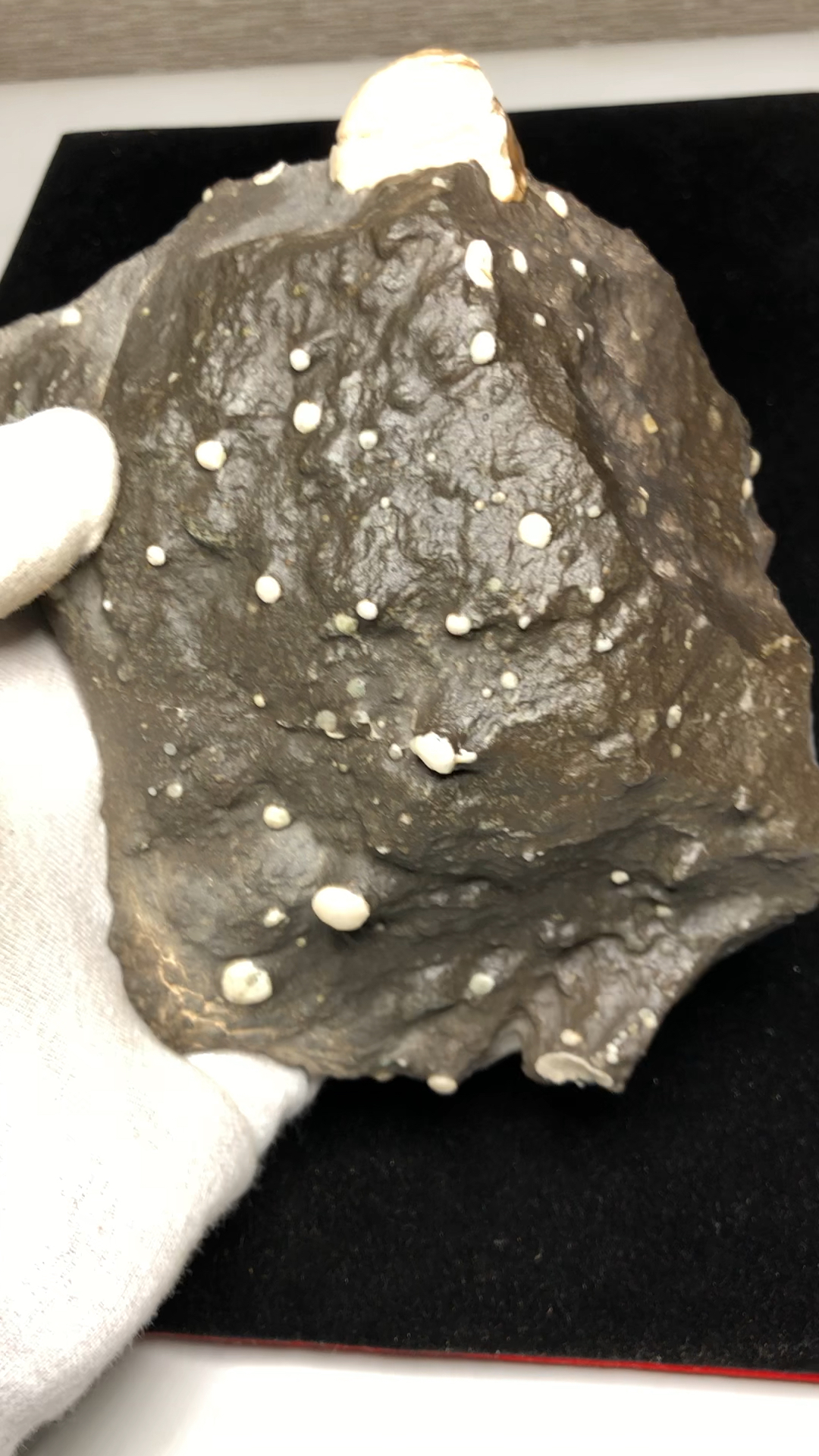 新疆沙尔湖,雪花泥石