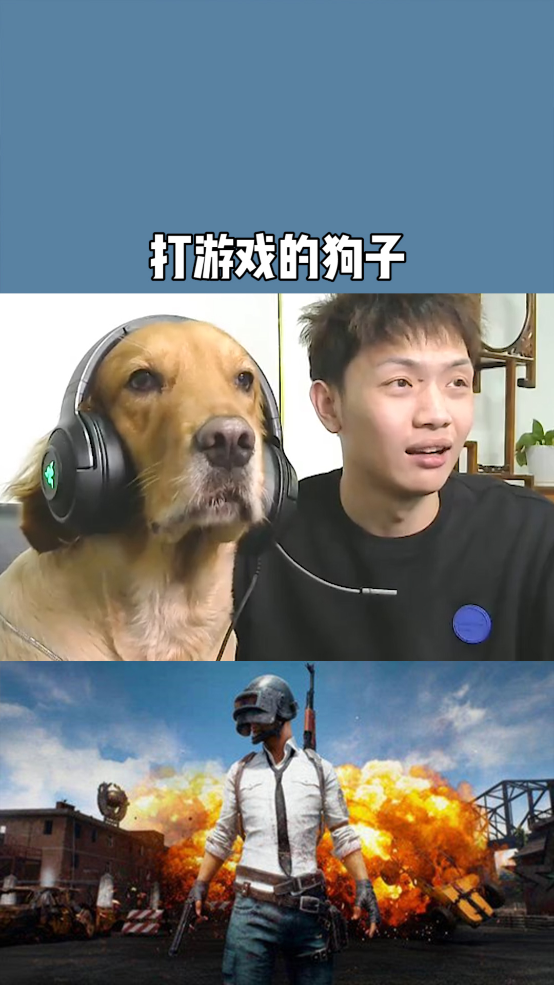 电竞狗我只是想用喷子和他们打个招呼#求一个神评加持