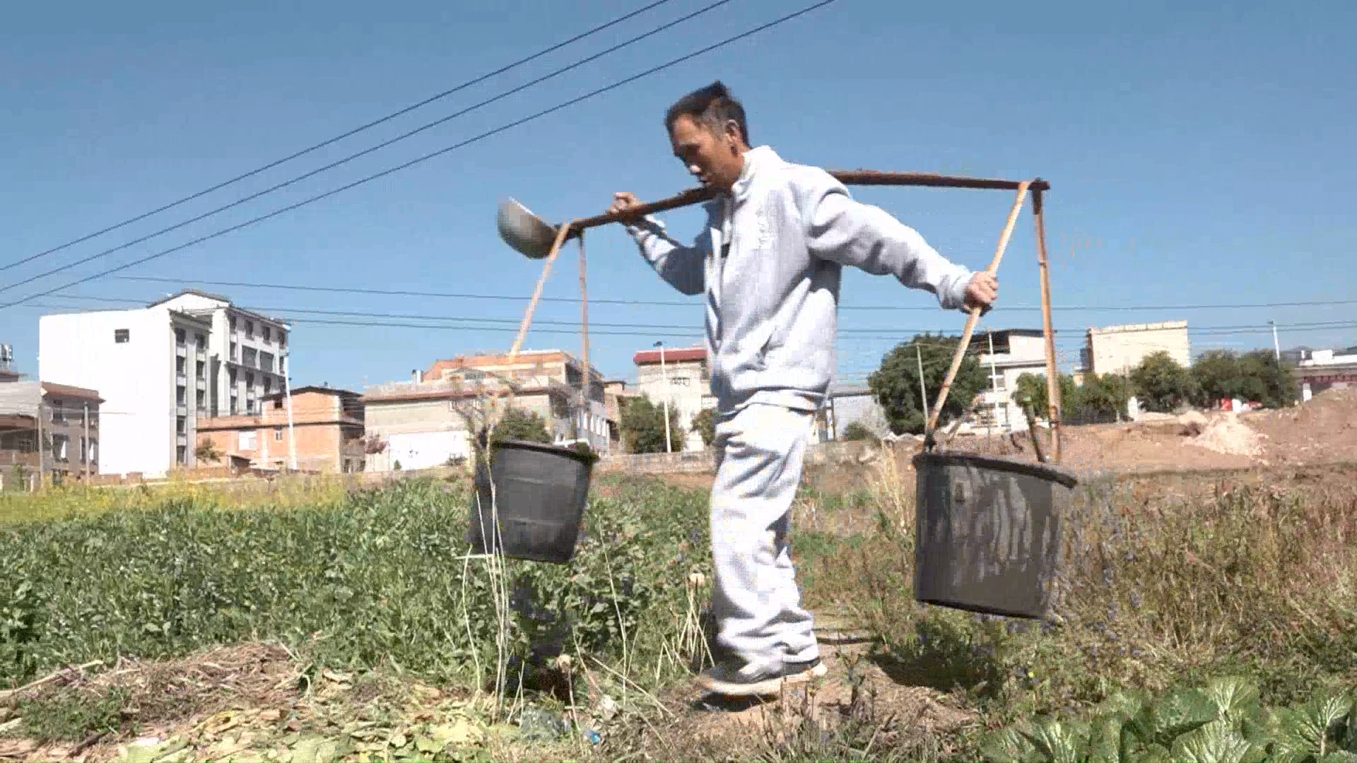 楞姑爷浇粪水,不浇完不回家吃饭