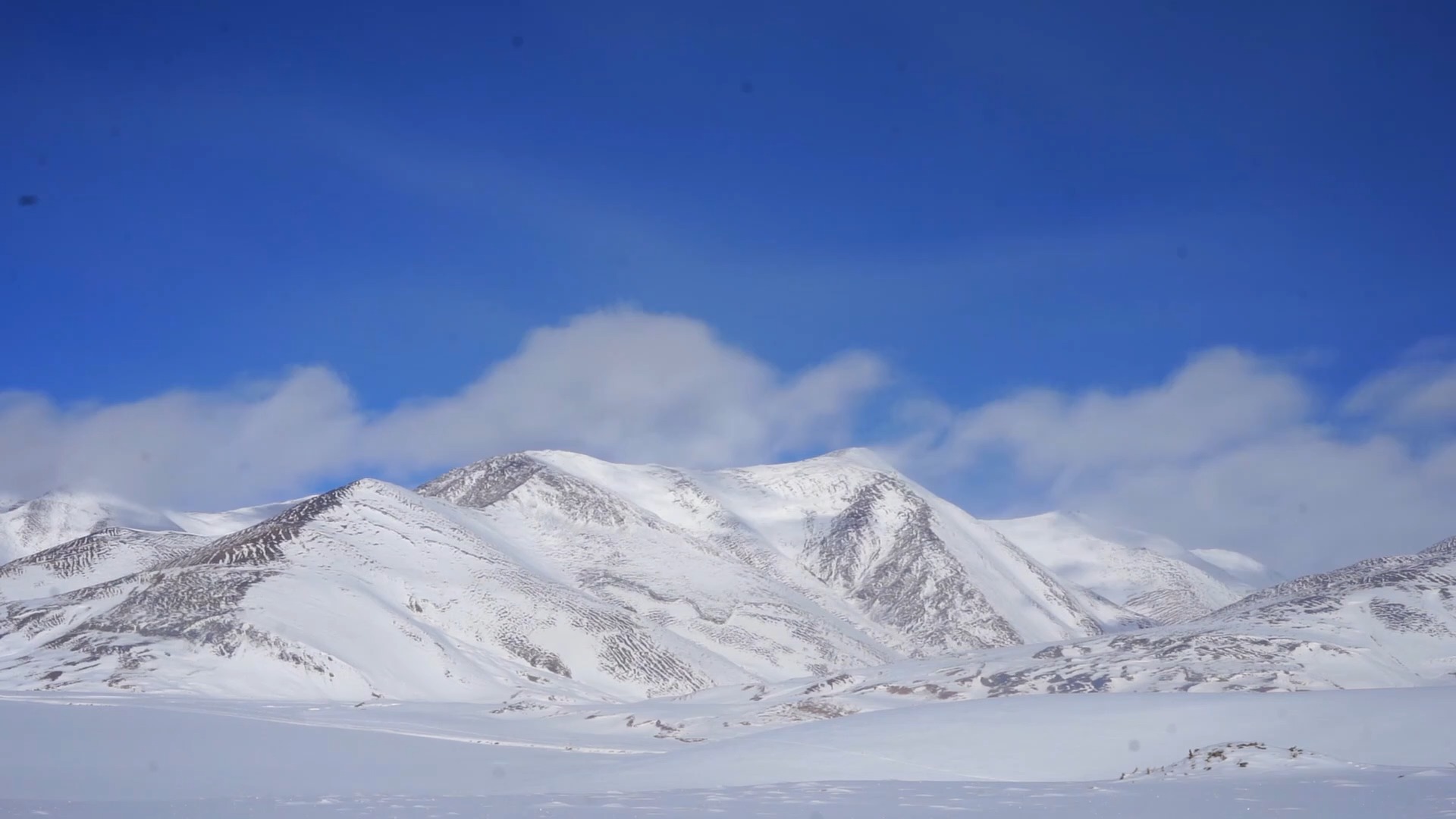 风雪边关,站在海拔最高的地方说爱你.