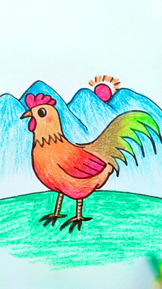 画一只大公鸡绿尾巴,数你最美丽.