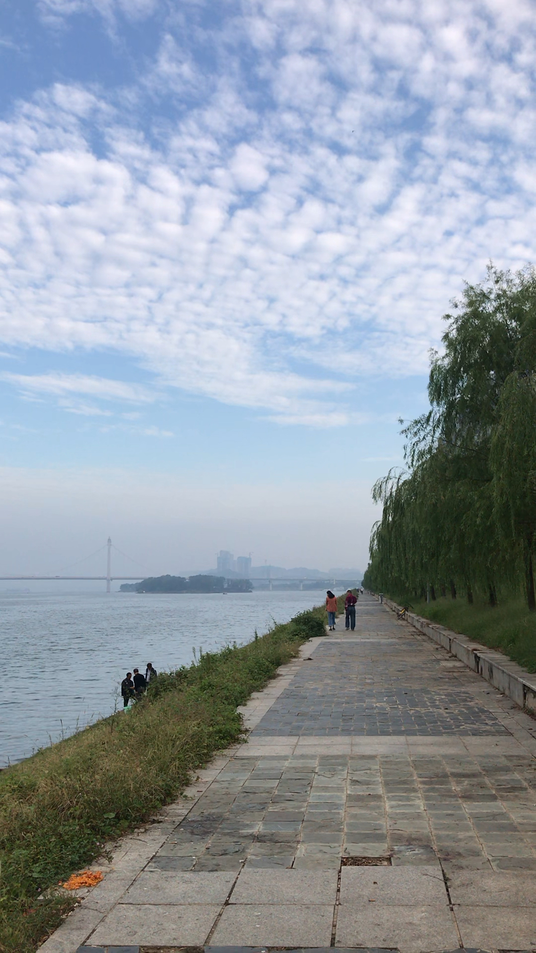 早上的湘江边