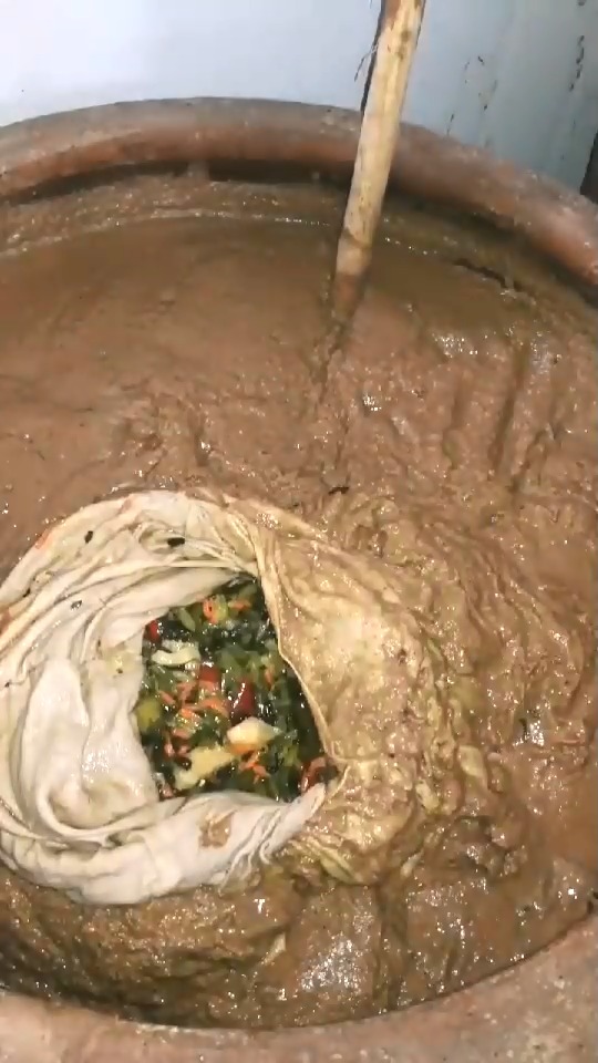 酱缸口袋咸菜,地道不大东北黑龙江咱们屯里的人儿