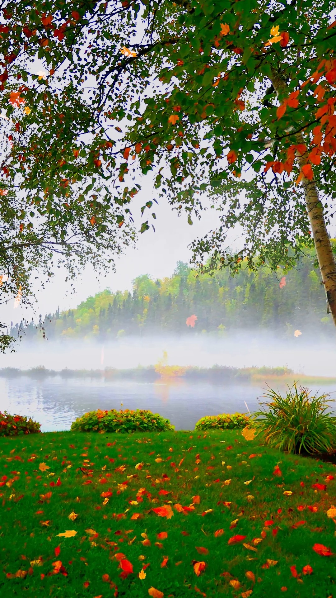 在这一刻你想到的是什么?#治愈系美景