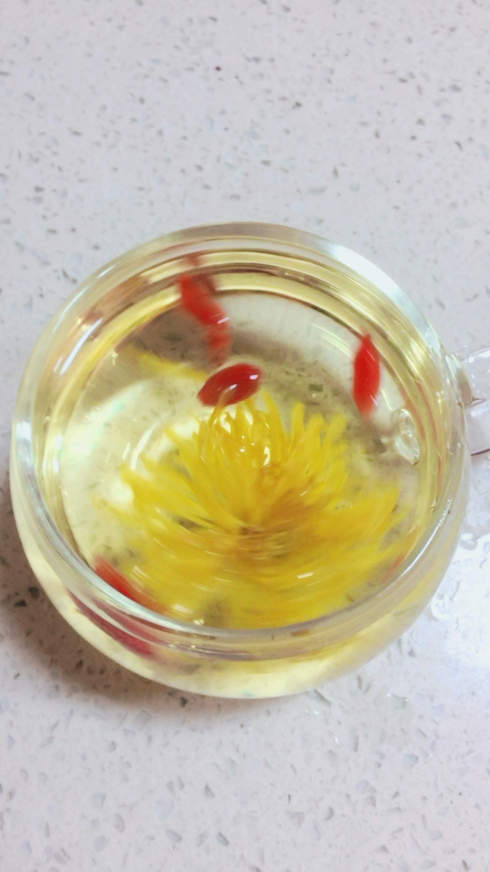 早上起来泡杯菊花茶犒赏自己